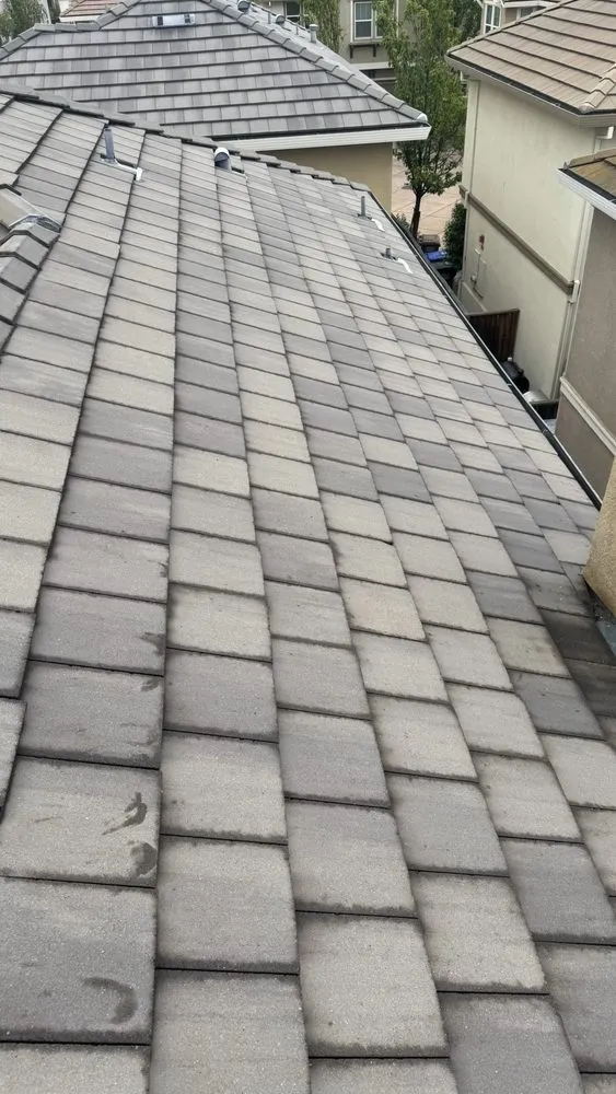 Slide of Golden Bay Softwash