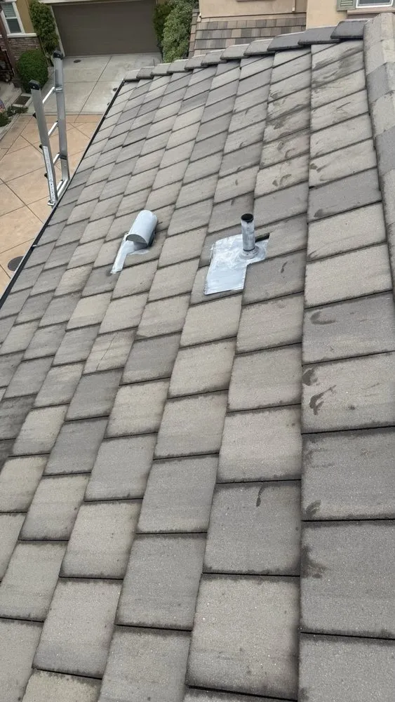 Slide of Golden Bay Softwash