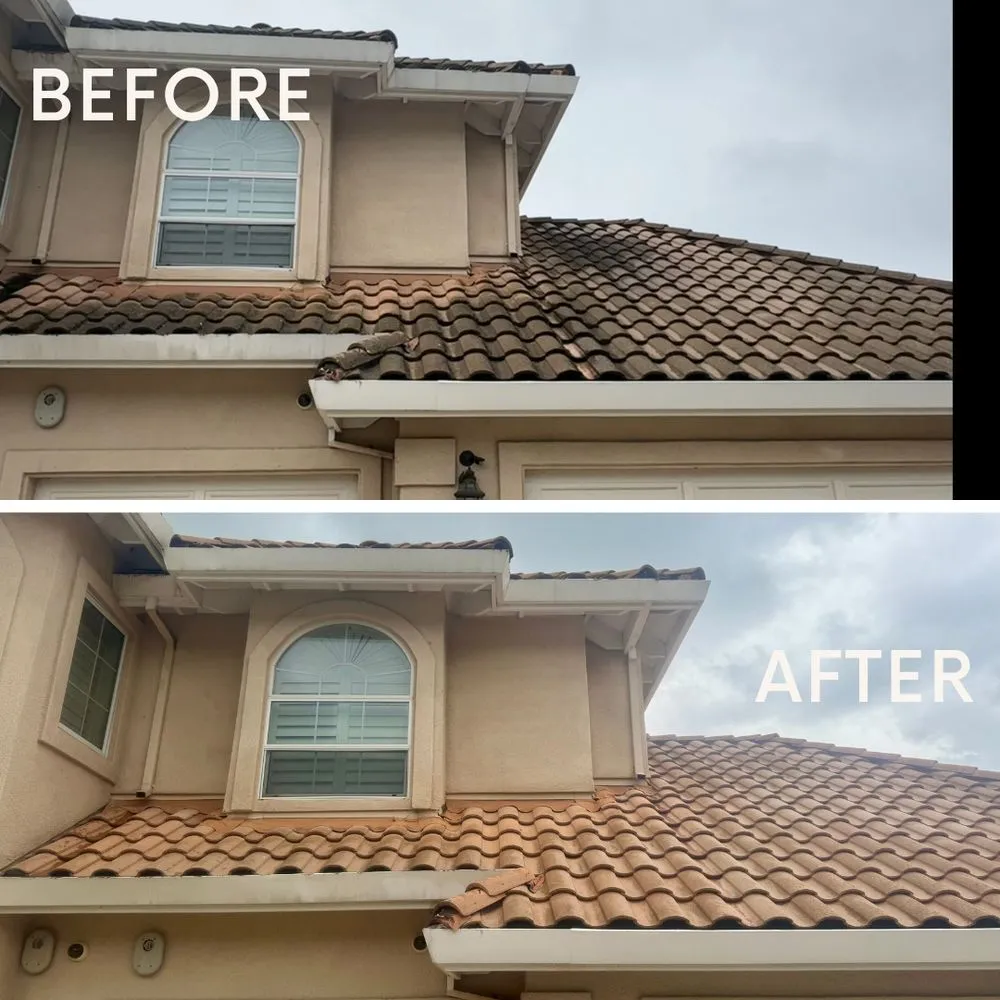 Slide of Golden Bay Softwash