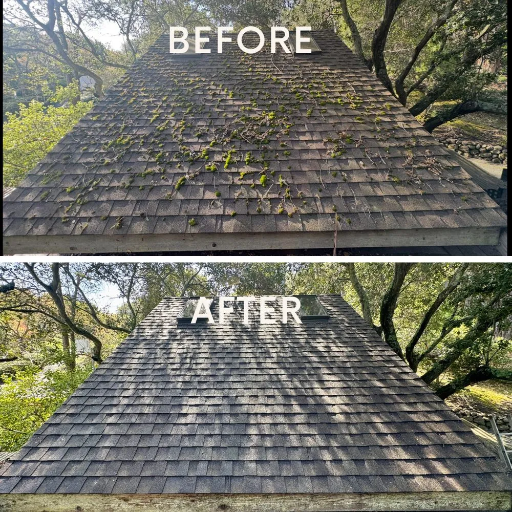 Slide of Golden Bay Softwash