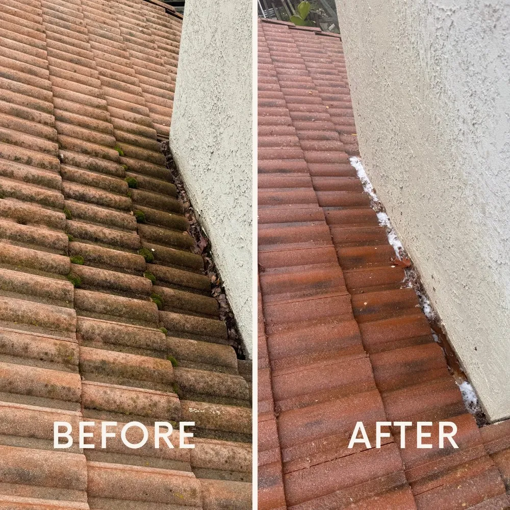 Slide of Golden Bay Softwash