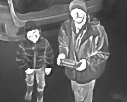 Golden Goose Apex Imaging Logo