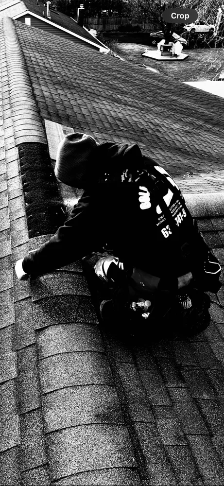 Slide of Golden Hammer