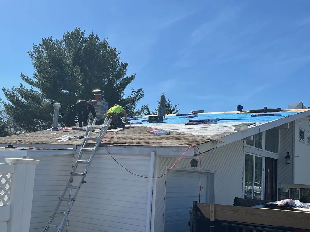 Slide of Golden Hammer