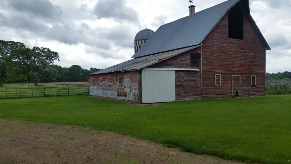 Slide of Golden Hatchet