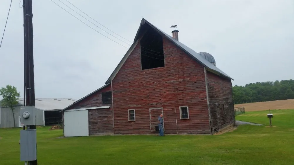 Slide of Golden Hatchet