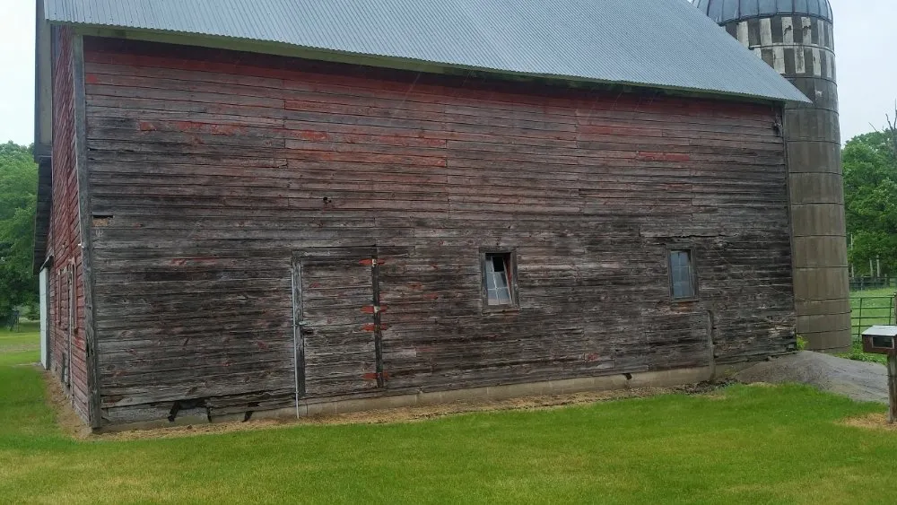 Slide of Golden Hatchet