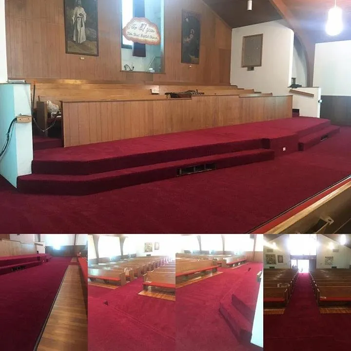 Slide of Golden Rhino