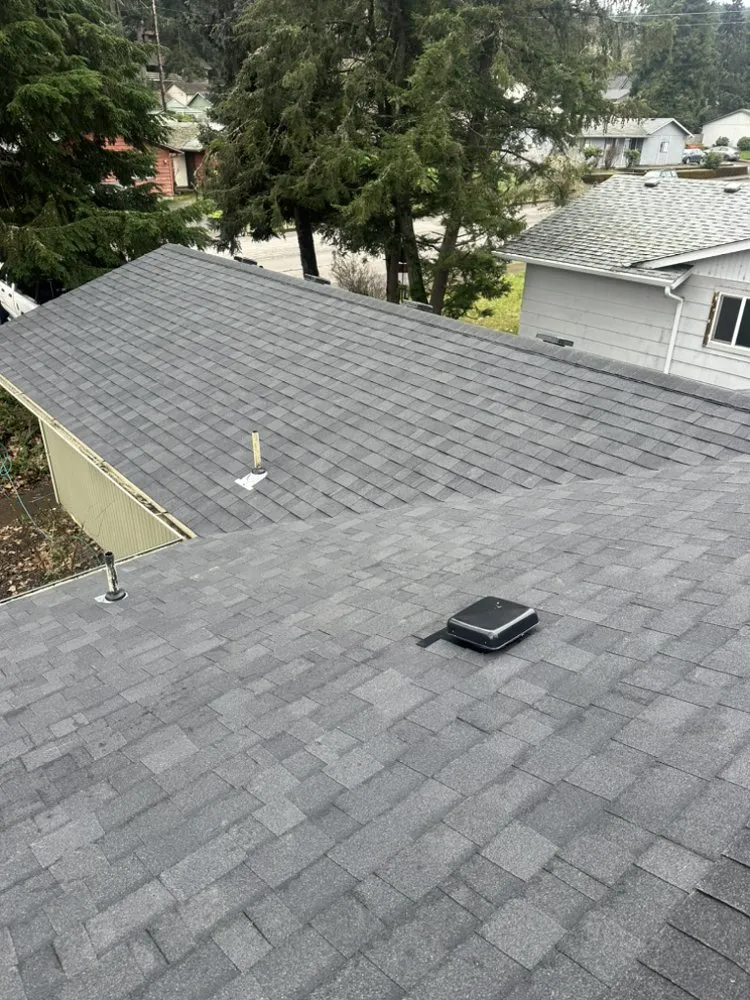 Slide of Golden Roof and Construction