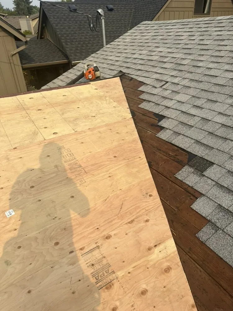 Slide of Golden Roof and Construction