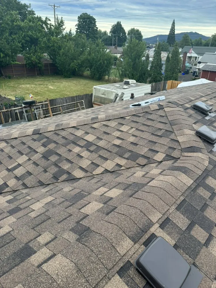 Slide of Golden Roof and Construction