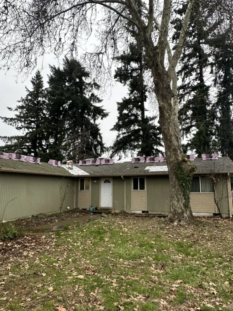 Slide of Golden Roof and Construction
