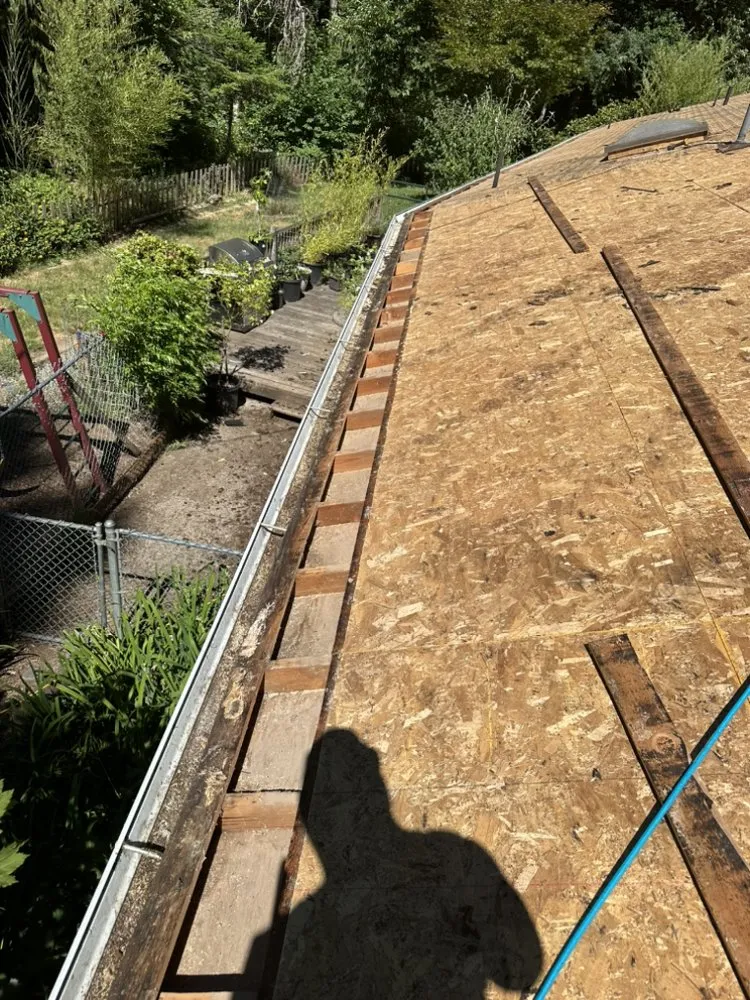 Slide of Golden Roof and Construction