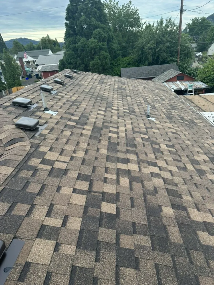 Slide of Golden Roof and Construction