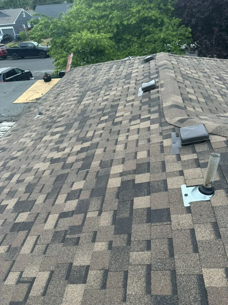 Slide of Golden Roof and Construction