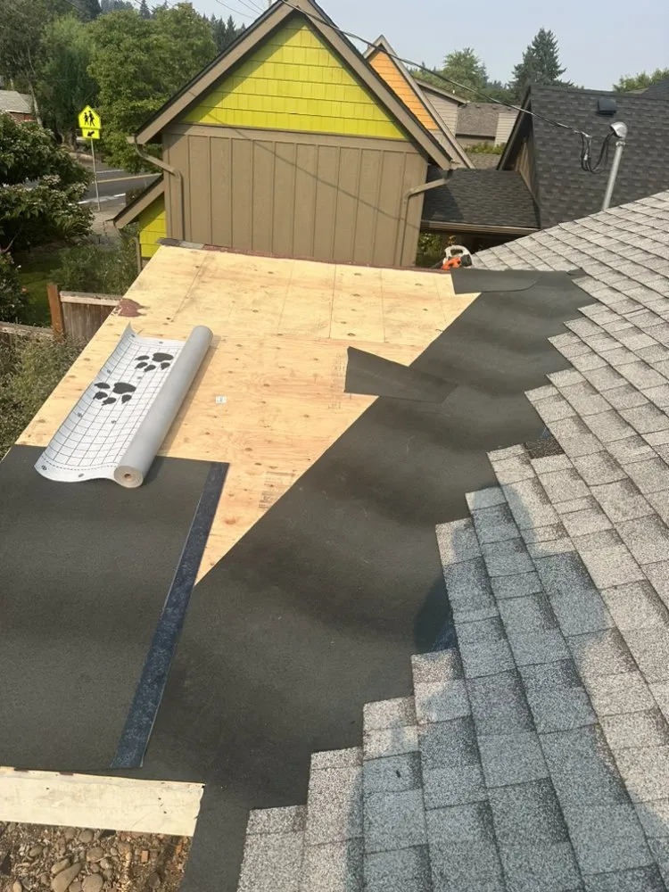 Slide of Golden Roof and Construction