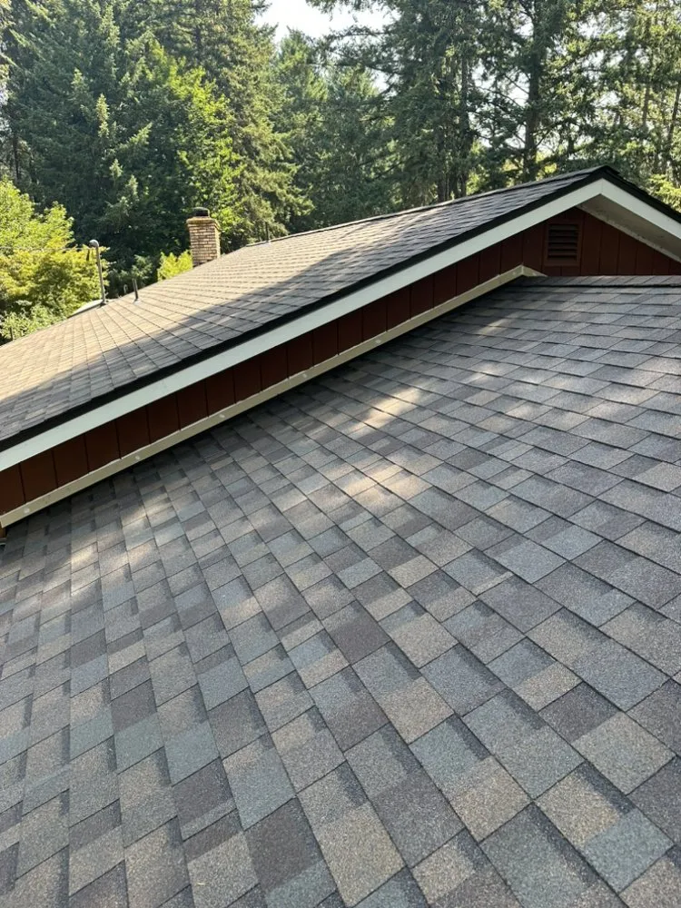 Slide of Golden Roof and Construction