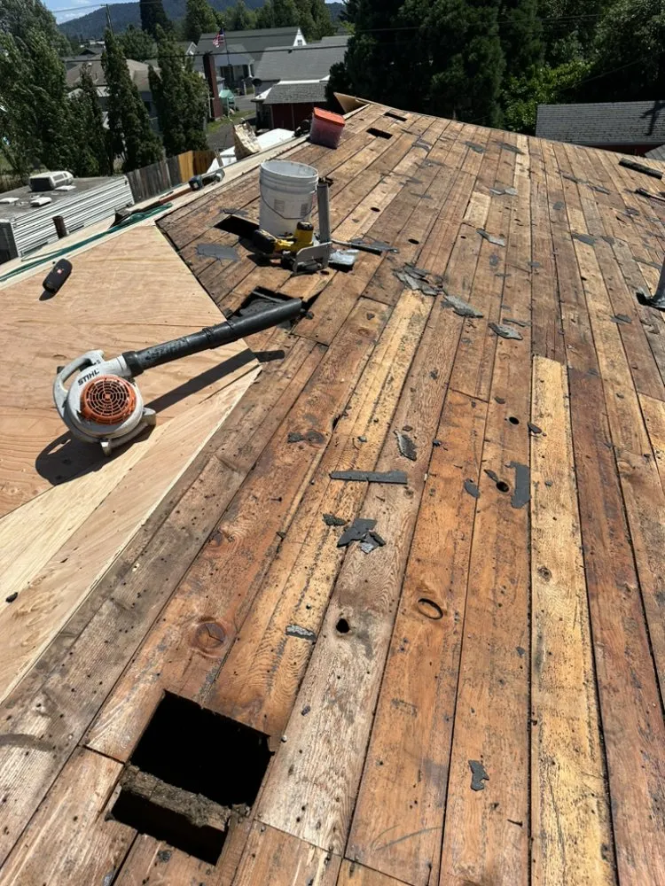 Slide of Golden Roof and Construction