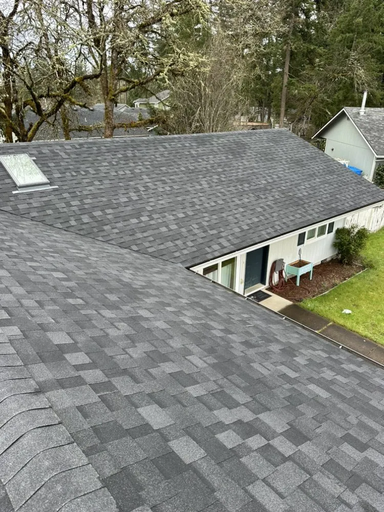 Slide of Golden Roof and Construction