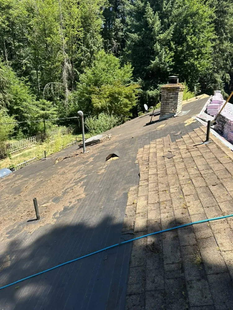 Slide of Golden Roof and Construction