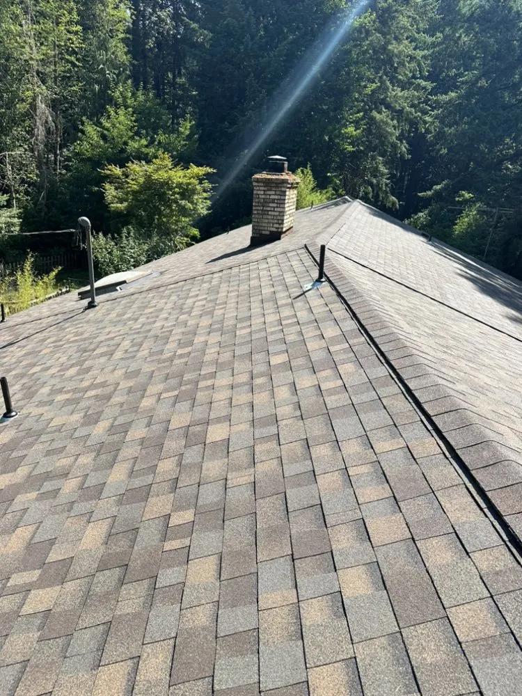 Slide of Golden Roof and Construction