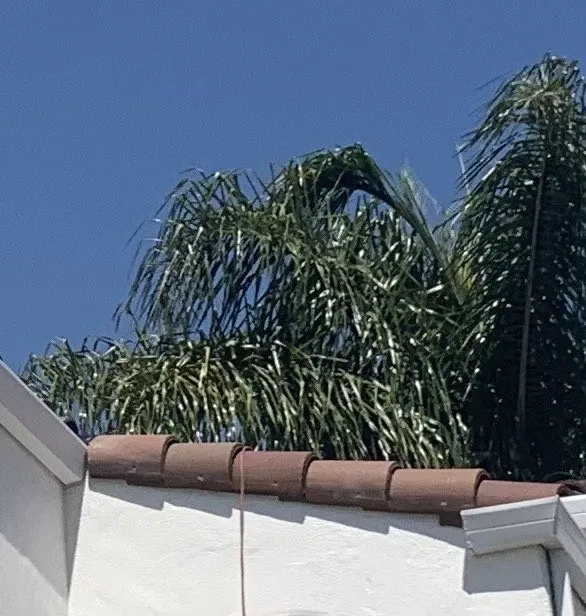 Slide of Golden State Roofer