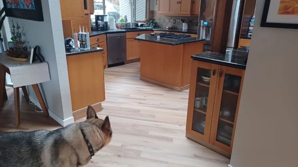 Slide of Golden Triangle Construction