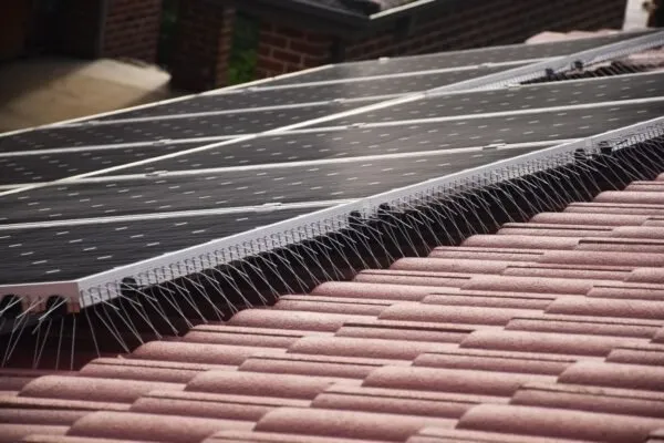 Slide of Gomez Handyman Service