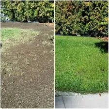 Slide of Gomez Handyman Service