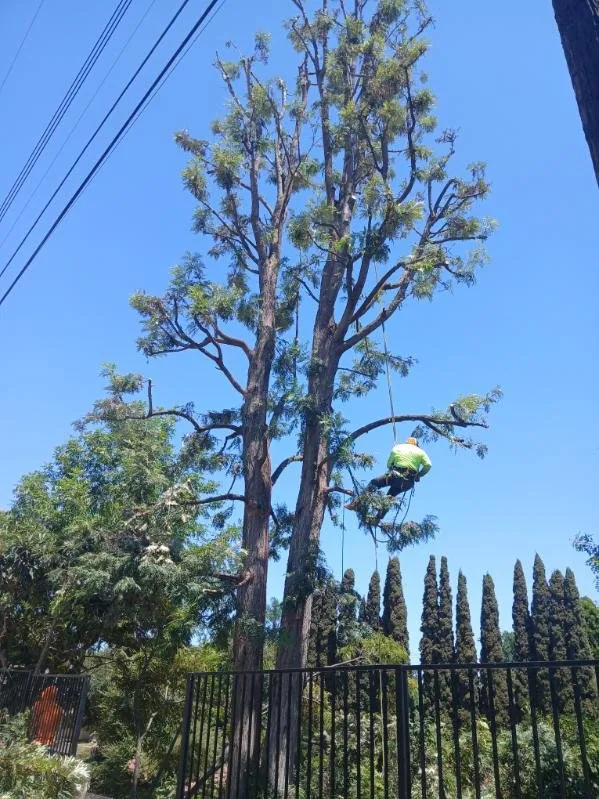 Slide of Gomez Handyman Service