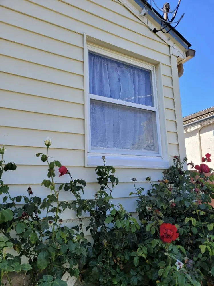 Slide of Gomez Painting