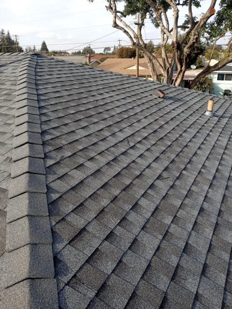 Slide of Gomez Painting