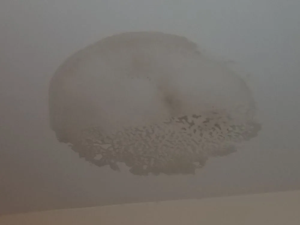 Slide of Gomez Roofing Solutions