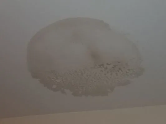 Gomez Roofing Solutions Logo