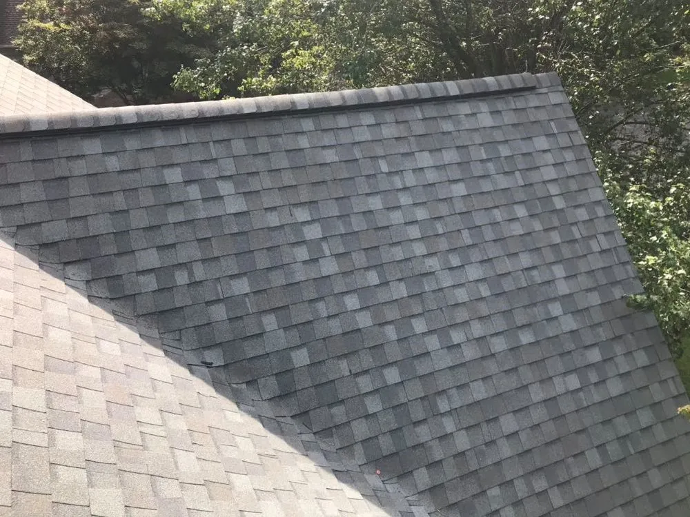 Slide of Gonzalez Painters & Contractors