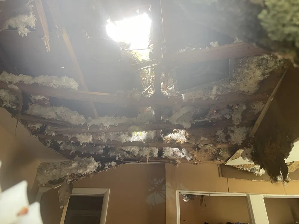 Slide of Gonzalez Roofing