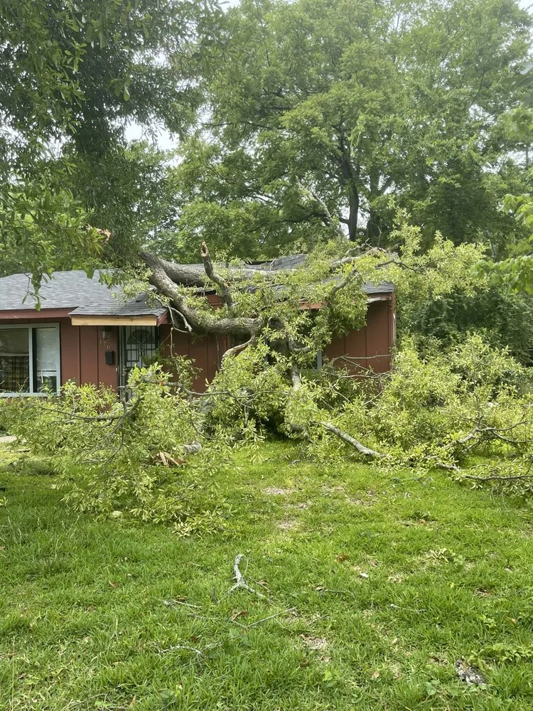 Slide of Gonzalez Roofing