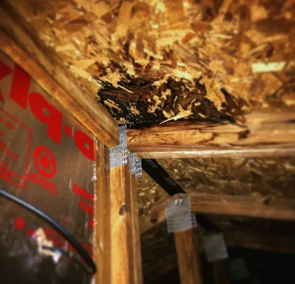 Slide of Gonzalez Roofing And Repairs