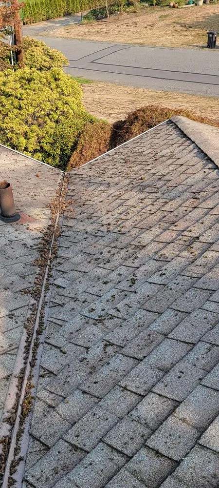 Slide of Gonzalez Roofing