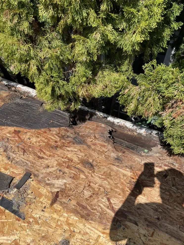 Slide of Gonzalez Roofing