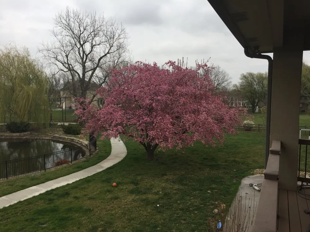 Slide of Good Faith Contracting