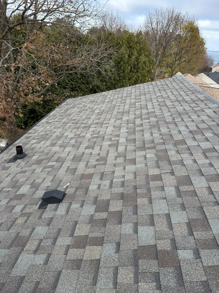 Slide of Goodfellas Painting