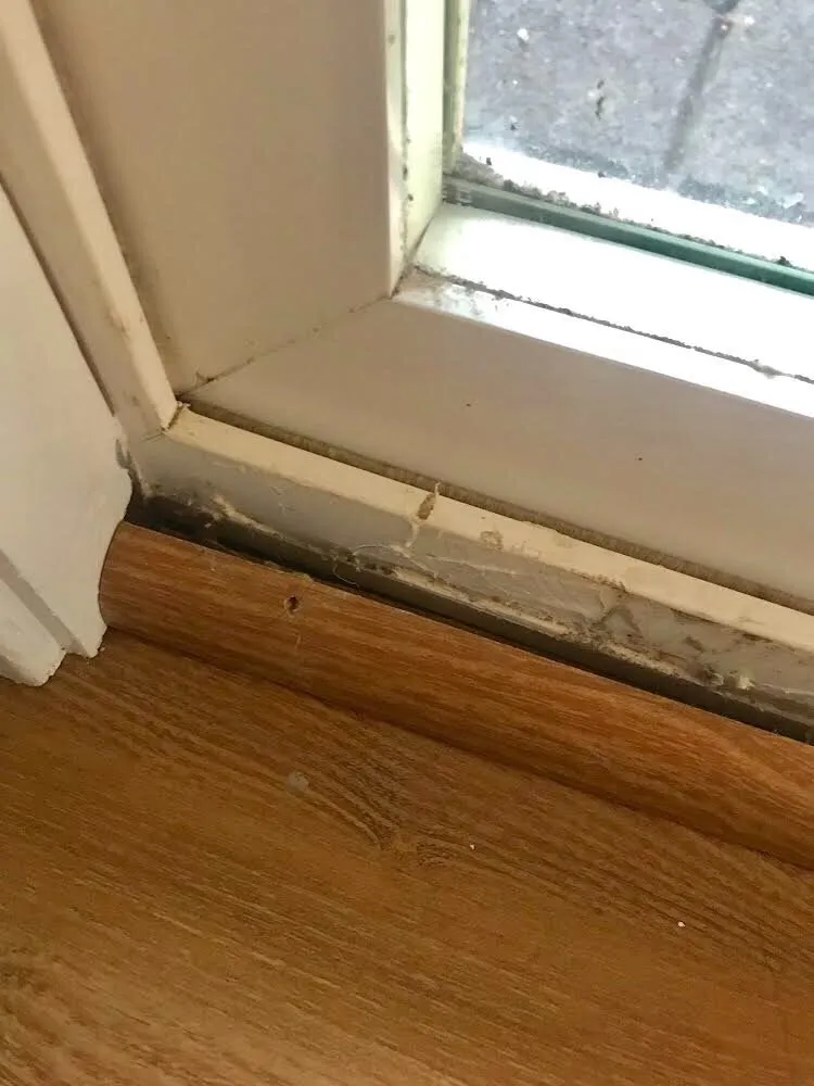 Slide of Gores Construction