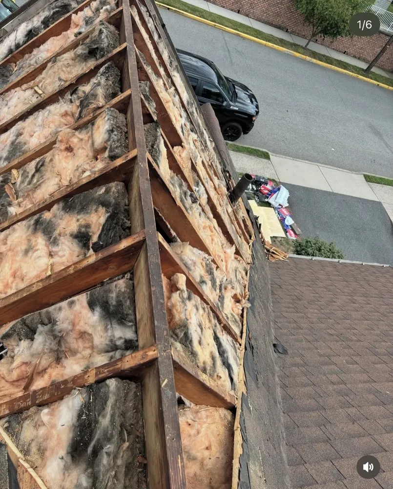 Slide of Gorila’z Construction