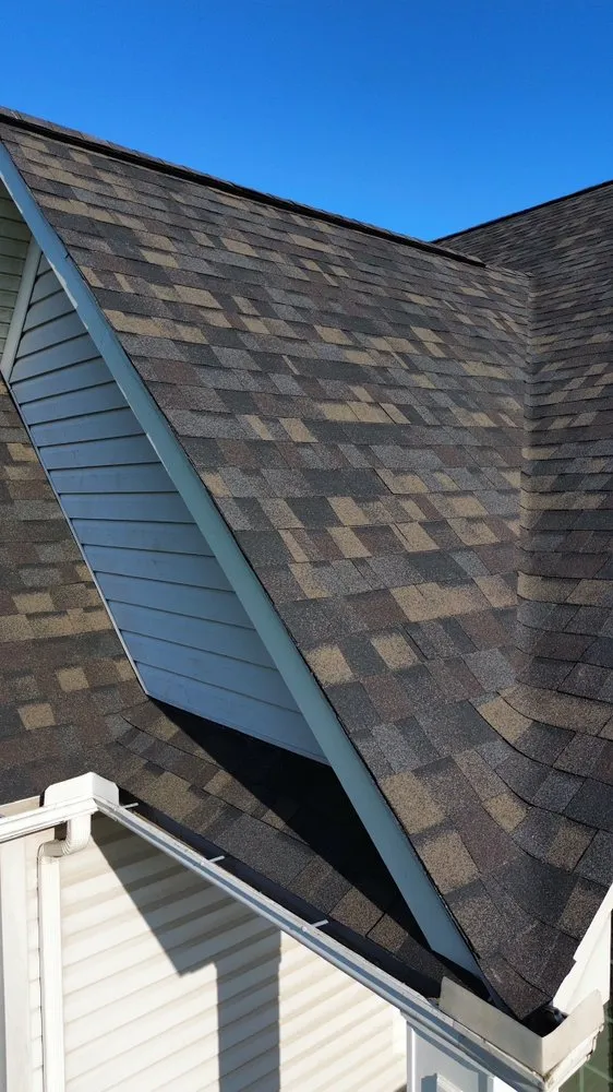 Slide of Gorilla Exterior