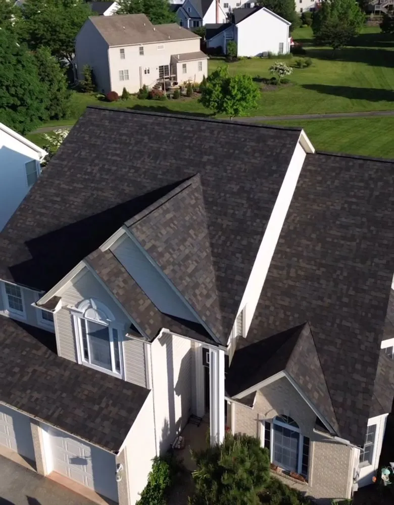 Slide of Gorilla Exterior