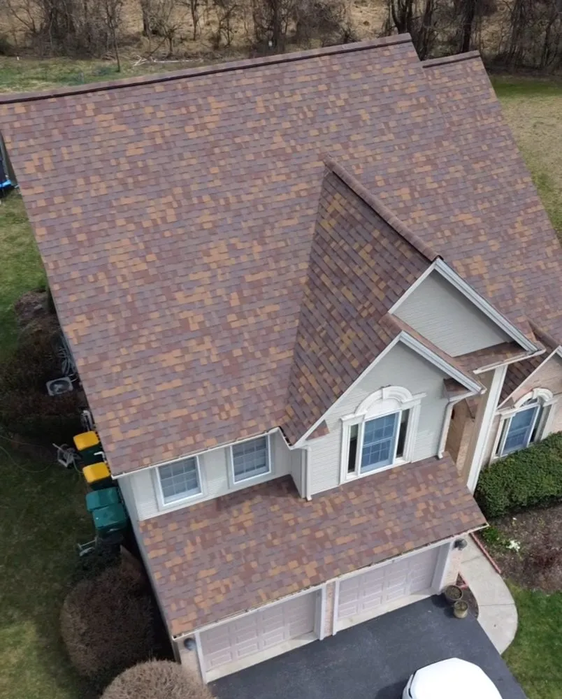 Slide of Gorilla Exterior