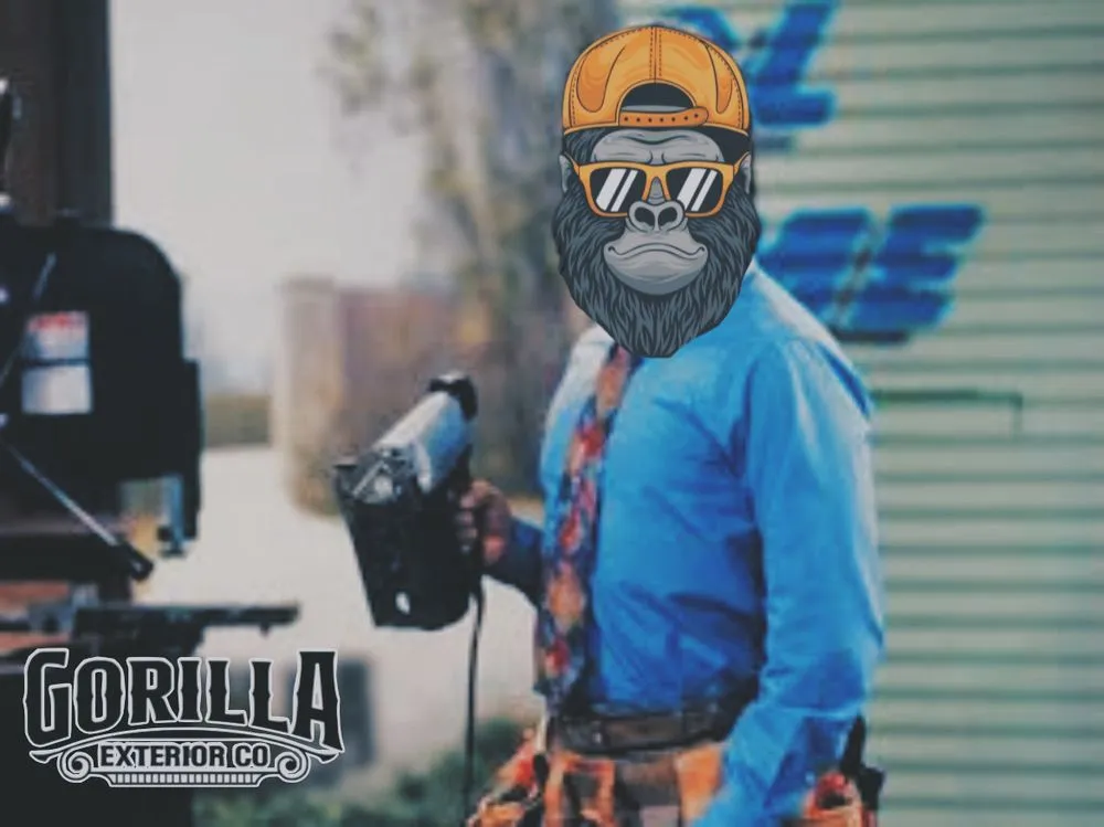 Slide of Gorilla Exterior