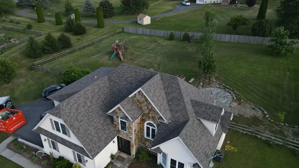 Slide of Gorilla Exterior