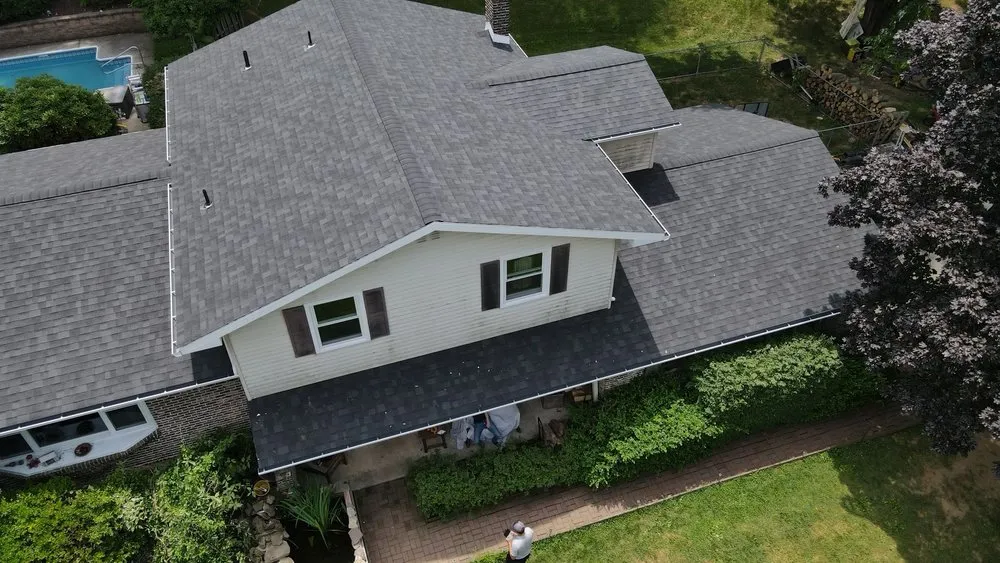 Slide of Gorilla Exterior